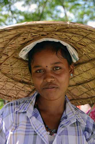 tea picker-AsiaPhotoStock