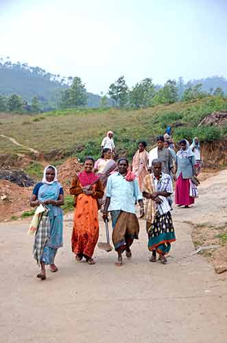 tea workers-AsiaPhotoStock