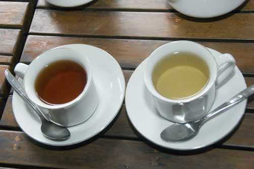 teas-AsiaPhotoStock