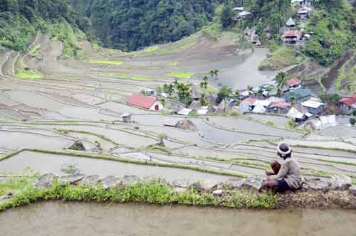 batad village banaue-AsiaPhotoStock