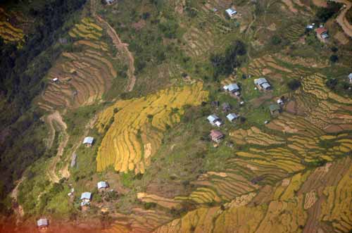 terraces-AsiaPhotoStock