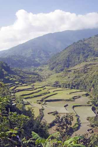 hapao to banaue-AsiaPhotoStock