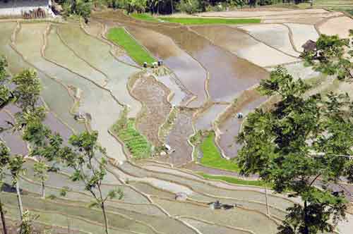 terraces below-AsiaPhotoStock