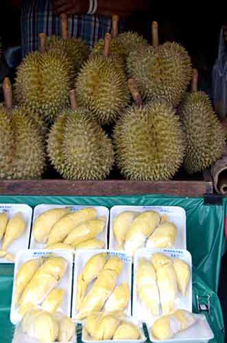 thai durians-AsiaPhotoStock