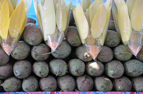 thai mango fruit-AsiaPhotoStock