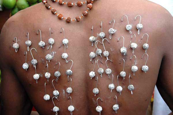 thaipusam back piercing-AsiaPhotoStock