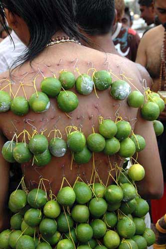 thaipusam limes-AsiaPhotoStock