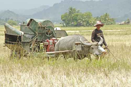 threshing machine-AsiaPhotoStock