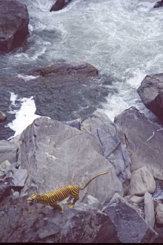 tiger leap gorge-AsiaPhotoStock