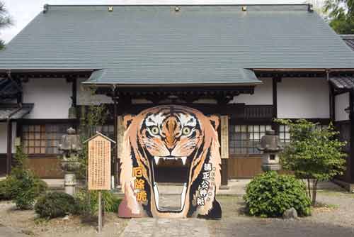 tiger temple-AsiaPhotoStock