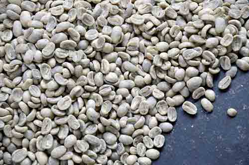 toba coffee-AsiaPhotoStock