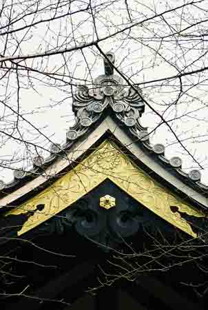 tokyo shrine-AsiaPhotoStock