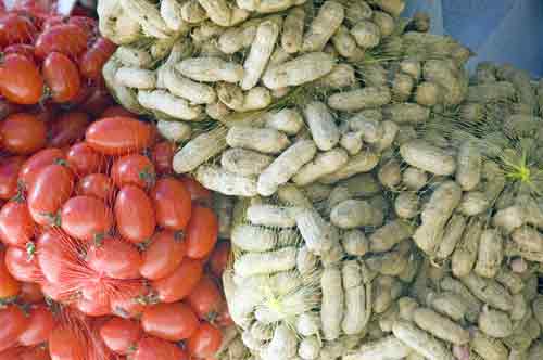 tomatoes and nuts-AsiaPhotoStock