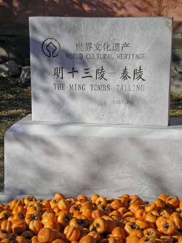 ming tombs persimmons-AsiaPhotoStock