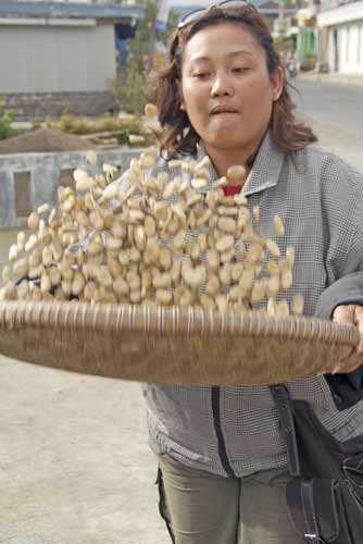 toss dieng peanuts-AsiaPhotoStock