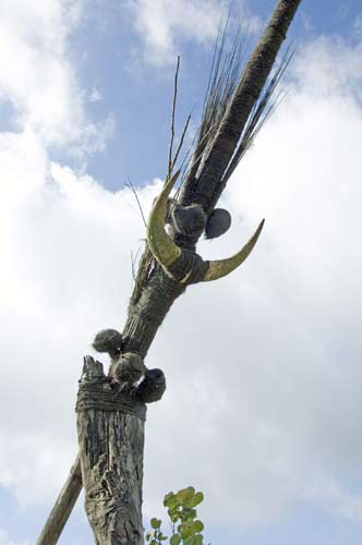 totem-AsiaPhotoStock