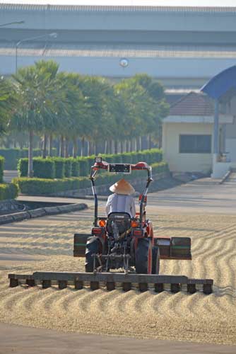 tractor turning coffee-AsiaPhotoStock