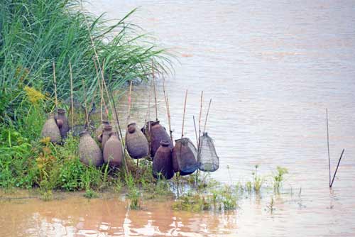 traps-AsiaPhotoStock