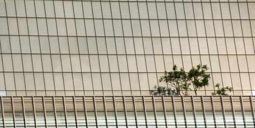 trees and building-AsiaPhotoStock