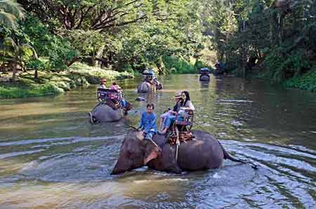 trek on an elephant-AsiaPhotoStock