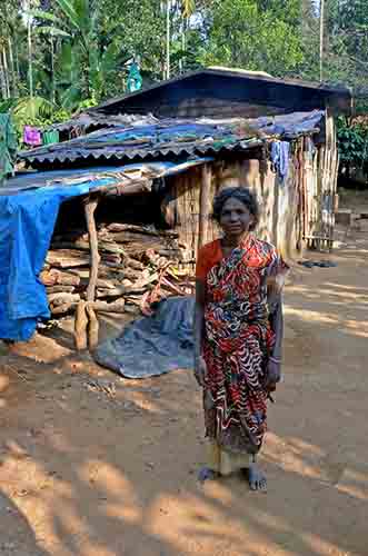 tribal lady wayanad-AsiaPhotoStock