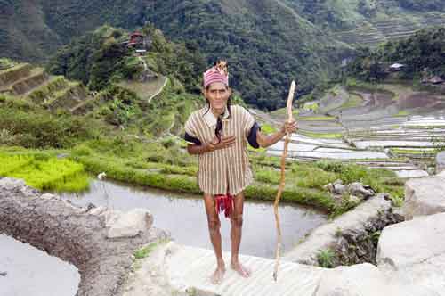 ifugao batad fields-AsiaPhotoStock