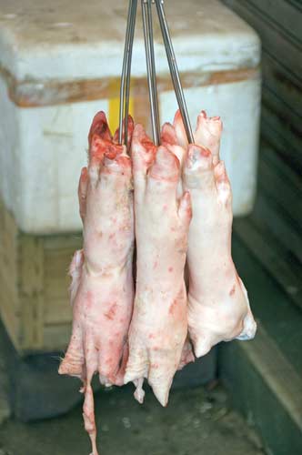 pigs trotters for sale-AsiaPhotoStock