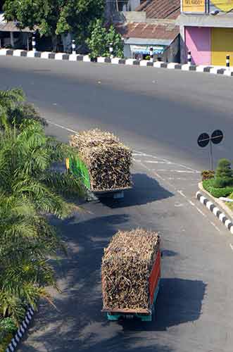 trucks sugar cane-AsiaPhotoStock