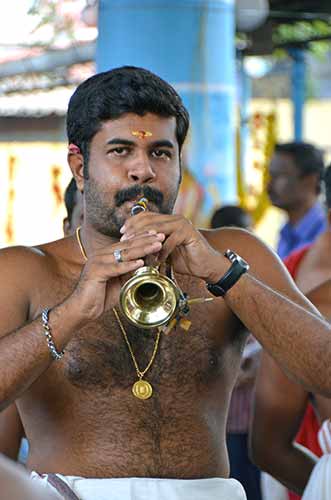 trumpet cochin-AsiaPhotoStock