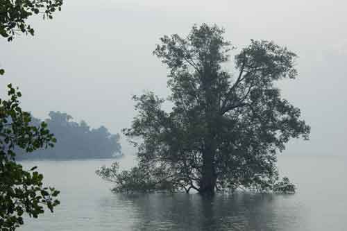 ubin landscape-AsiaPhotoStock