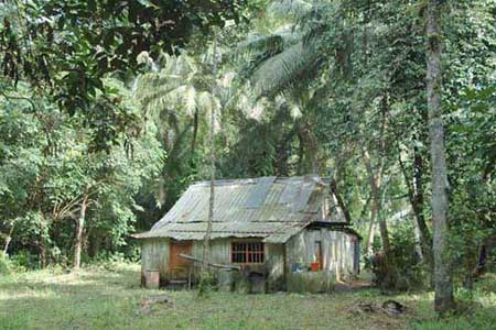 ubin house-AsiaPhotoStock