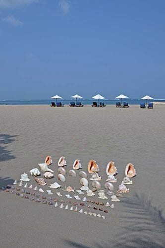 umbrellas shells-AsiaPhotoStock