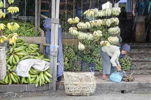 vegetables batam-AsiaPhotoStock