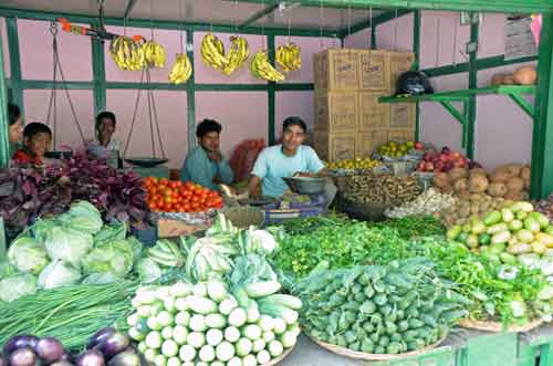 vegetables-AsiaPhotoStock