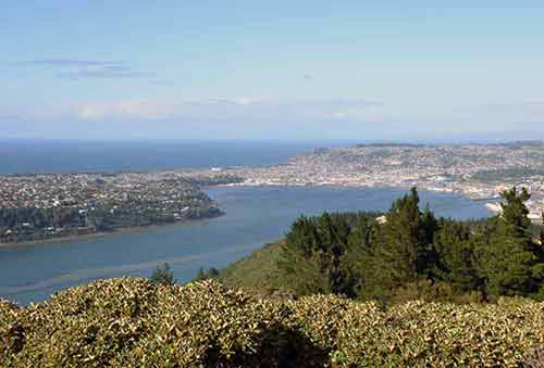 view of dunedin-AsiaPhotoStock