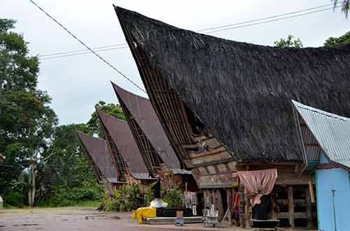 village tomok-AsiaPhotoStock