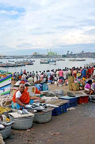 vizhinjam harbour-AsiaPhotoStock