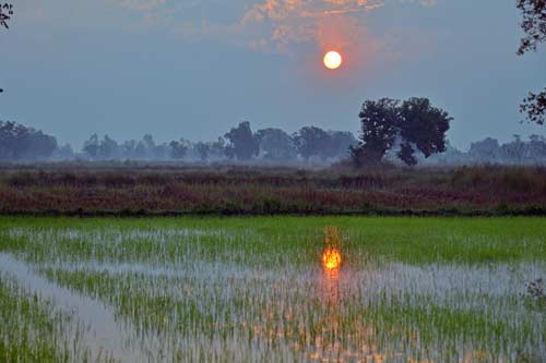 waking to sunrise-AsiaPhotoStock