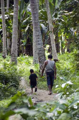 plantation walk-AsiaPhotoStock