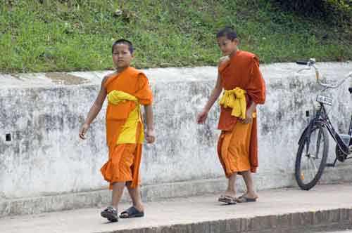 walkers-AsiaPhotoStock