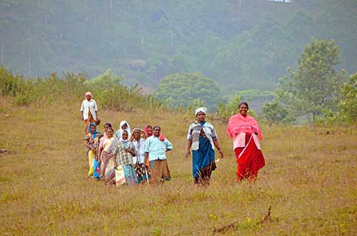 walking home munnar-AsiaPhotoStock