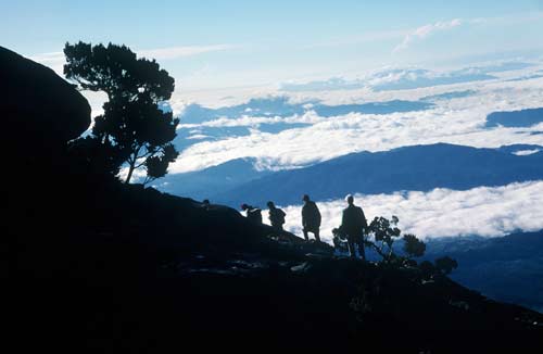 walking up kinabalu-AsiaPhotoStock