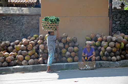 wall with coconuts-AsiaPhotoStock