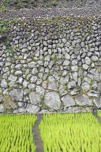 batad wall detail-AsiaPhotoStock