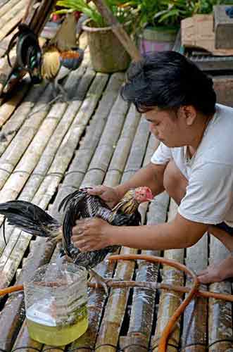 washing time-AsiaPhotoStock