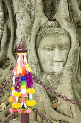 wat mahathat buddha-AsiaPhotoStock