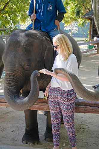 watch out for elephants-AsiaPhotoStock