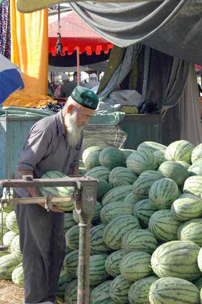 selecting melons-AsiaPhotoStock