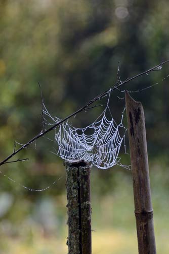 web-AsiaPhotoStock