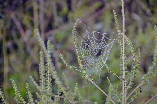 webs-AsiaPhotoStock